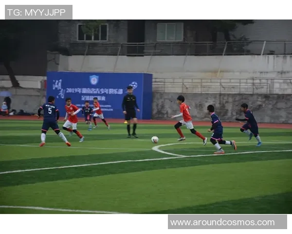 足球世界的新纪元：从青训到职业联赛的全方位发展与挑战